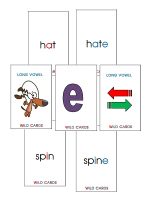 Wild Cards: Split Digraphs