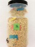 Find the Graphemes in a Bottle Pictures